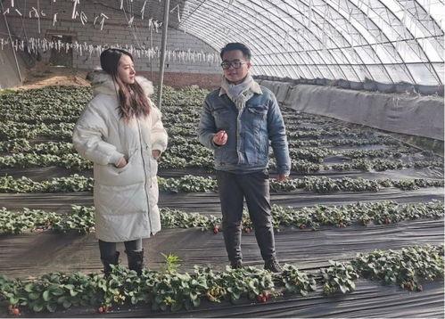 李栽培视频,揭秘农业创新与绿色发展的奥秘