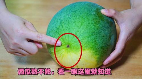 西瓜怎么看熟不熟视频,视频揭秘挑选技巧